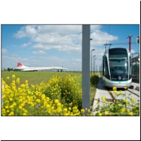 2014-04-05 T7 (05397110).jpg